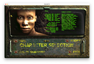 Customized widescreen character graphics